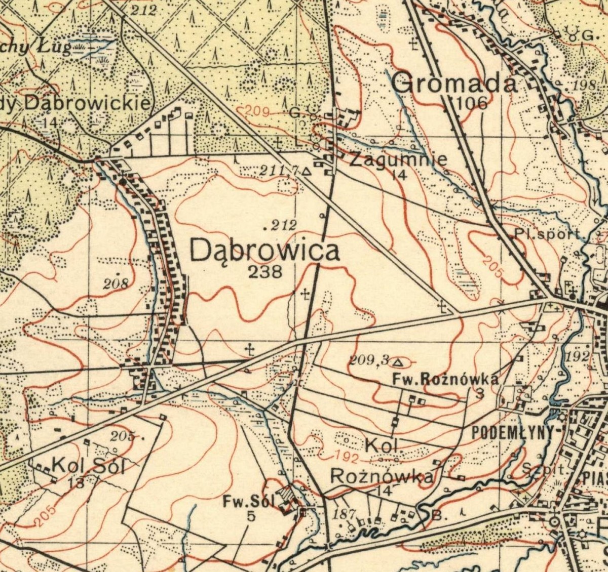 Dąbrowica i okolice na mapie z 1938 r